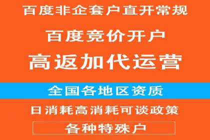 案例分析：百度竞价托管助力行业龙头